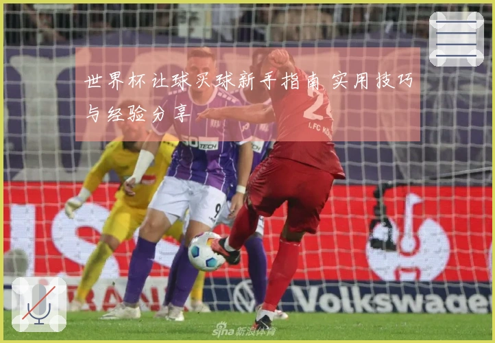 世界杯让球买球新手指南 实用技巧与经验分享