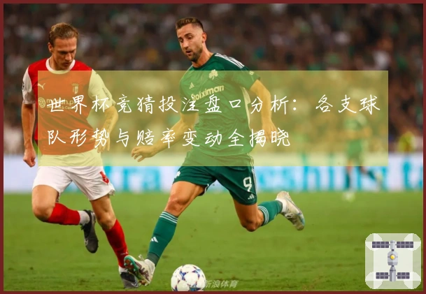 世界杯竞猜投注盘口分析：各支球队形势与赔率变动全揭晓