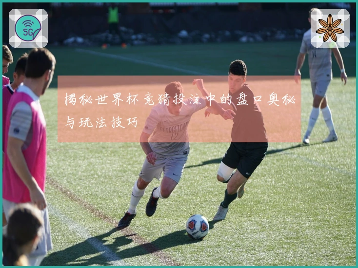 揭秘世界杯竞猜投注中的盘口奥秘与玩法技巧