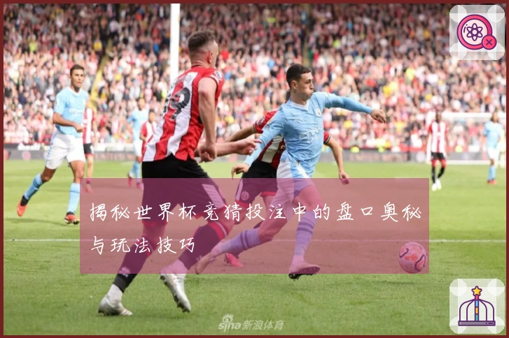 揭秘世界杯竞猜投注中的盘口奥秘与玩法技巧