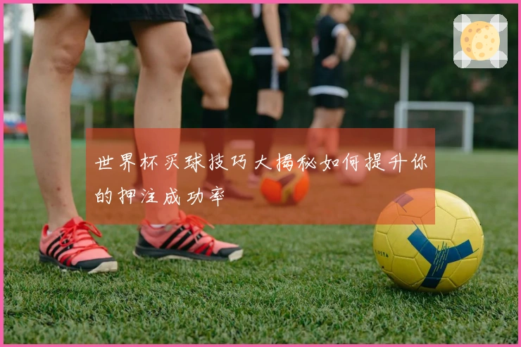 世界杯买球技巧大揭秘如何提升你的押注成功率