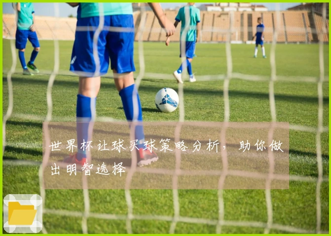 世界杯让球买球策略分析，助你做出明智选择