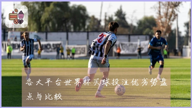 各大平台世界杯买球投注优劣势盘点与比较