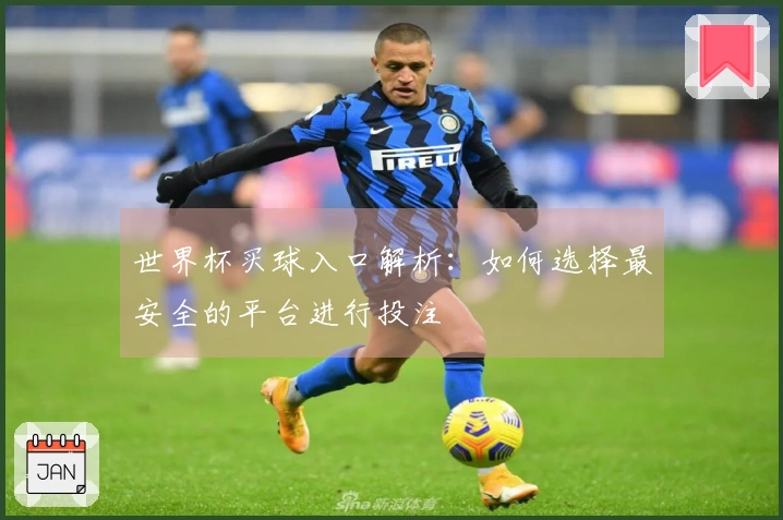 世界杯买球入口解析：如何选择最安全的平台进行投注