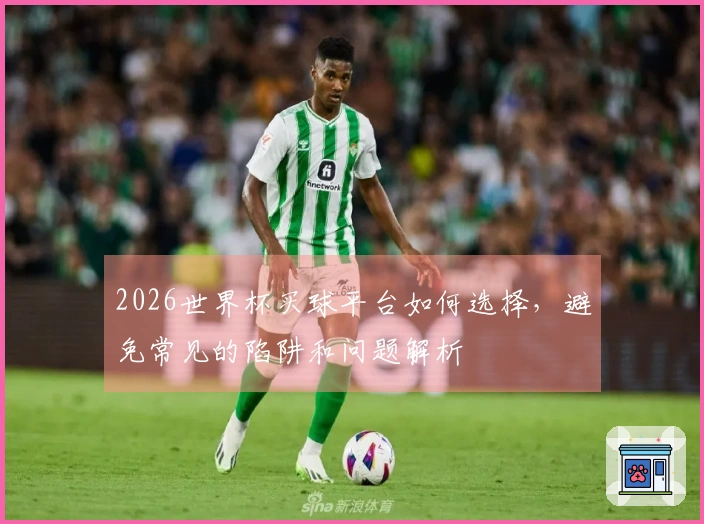 2026世界杯买球平台如何选择，避免常见的陷阱和问题解析