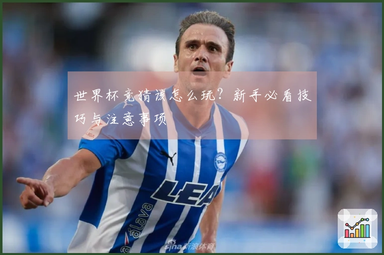 世界杯竞猜该怎么玩？新手必看技巧与注意事项