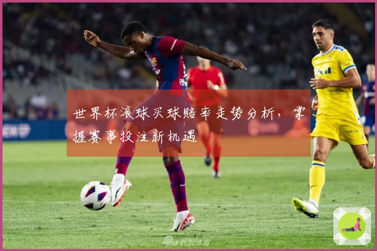 世界杯滚球买球赔率走势分析，掌握赛事投注新机遇