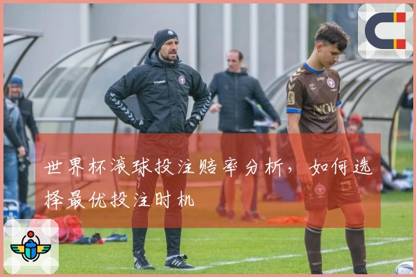 世界杯滚球投注赔率分析，如何选择最优投注时机