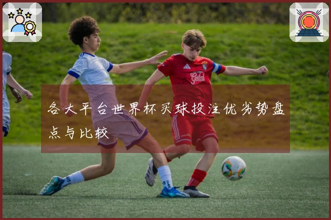 各大平台世界杯买球投注优劣势盘点与比较